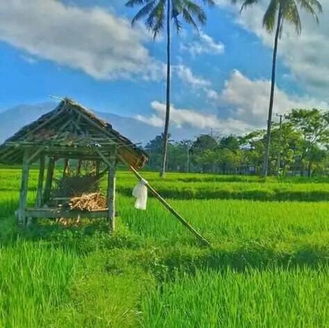 Banana Bungalows Tetebatu Extérieur photo
