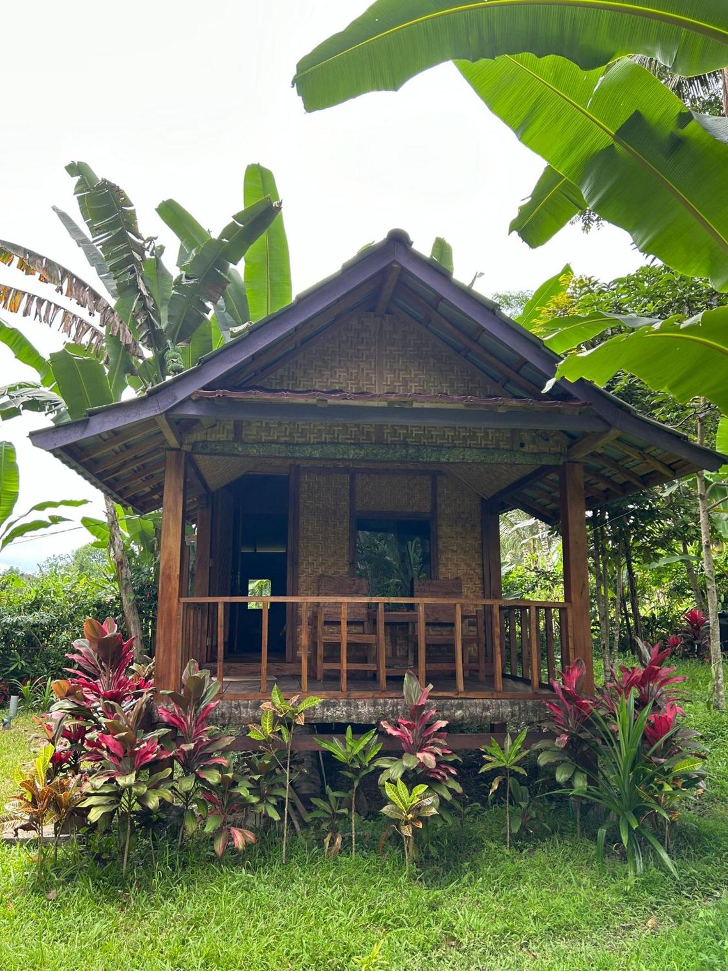 Banana Bungalows Tetebatu Chambre photo