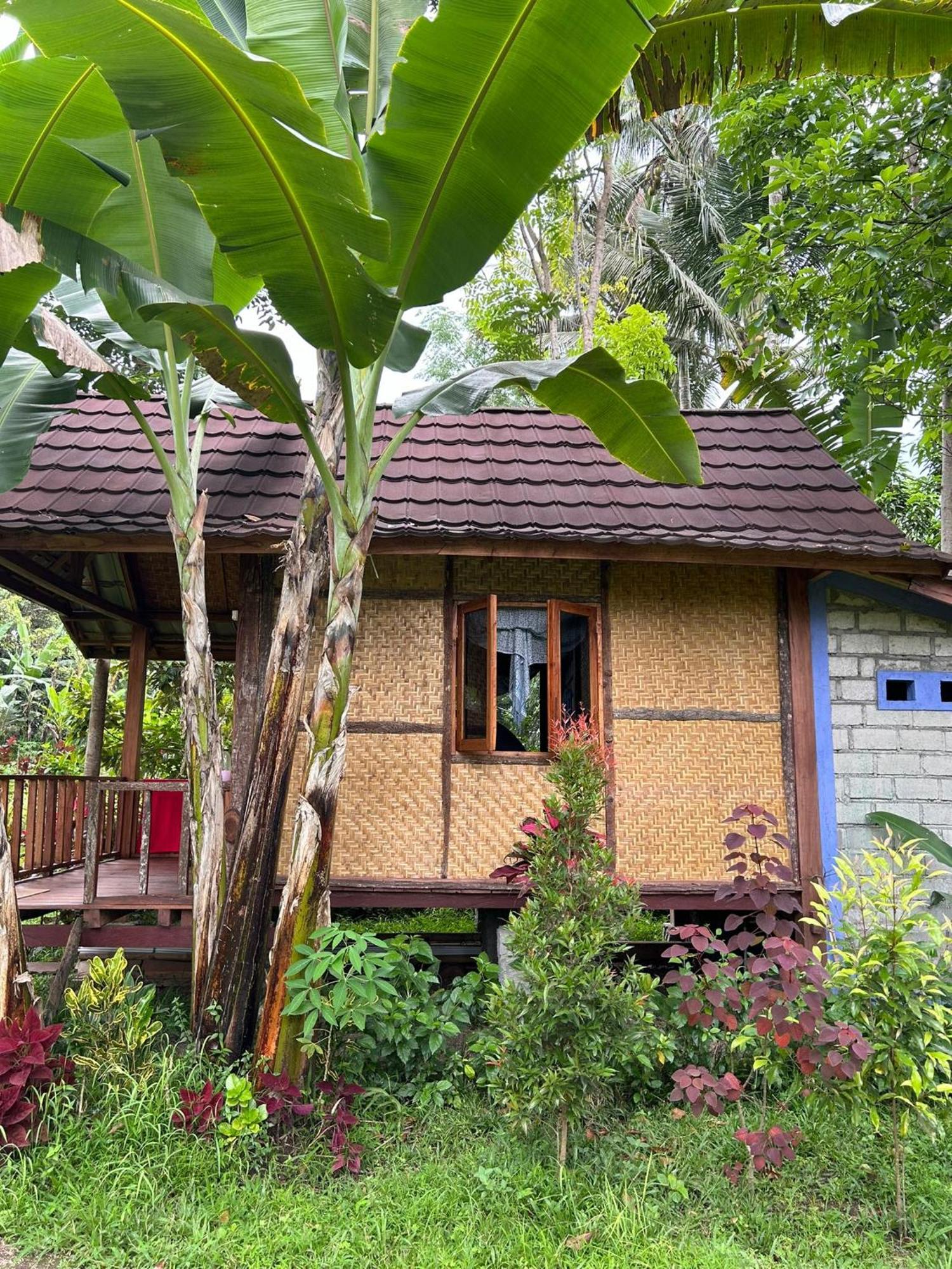 Banana Bungalows Tetebatu Chambre photo